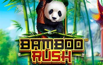 Bamboo-Rush