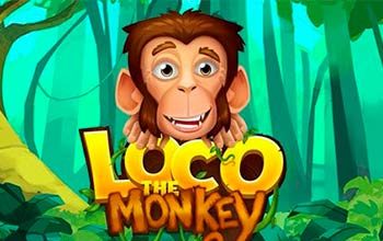 Loco the Monkey